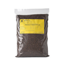 - Semi Di Facelia, Phacelia